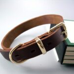 Leather Pet Dog Collar for Big Dogs - High Quality Pet Accessory