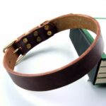 High Quality Genuine Leather Dog Collar for Big Dogs - Pet Product