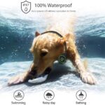 Rechargeable Waterproof Dog Training Collar - 1000ft Range - 3 Training Modes Beep Vibration Shock