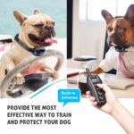 Rechargeable Remote Dog Trainer - Waterproof E-Collar for 2 Dogs