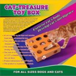Cat treasure toy box