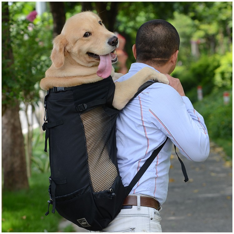 Hiking Pet Dog Carrier