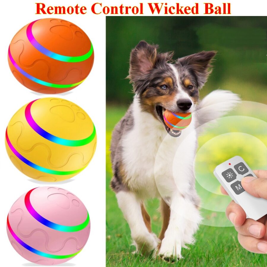 Interactive Dog Toy Wicked LED Ball