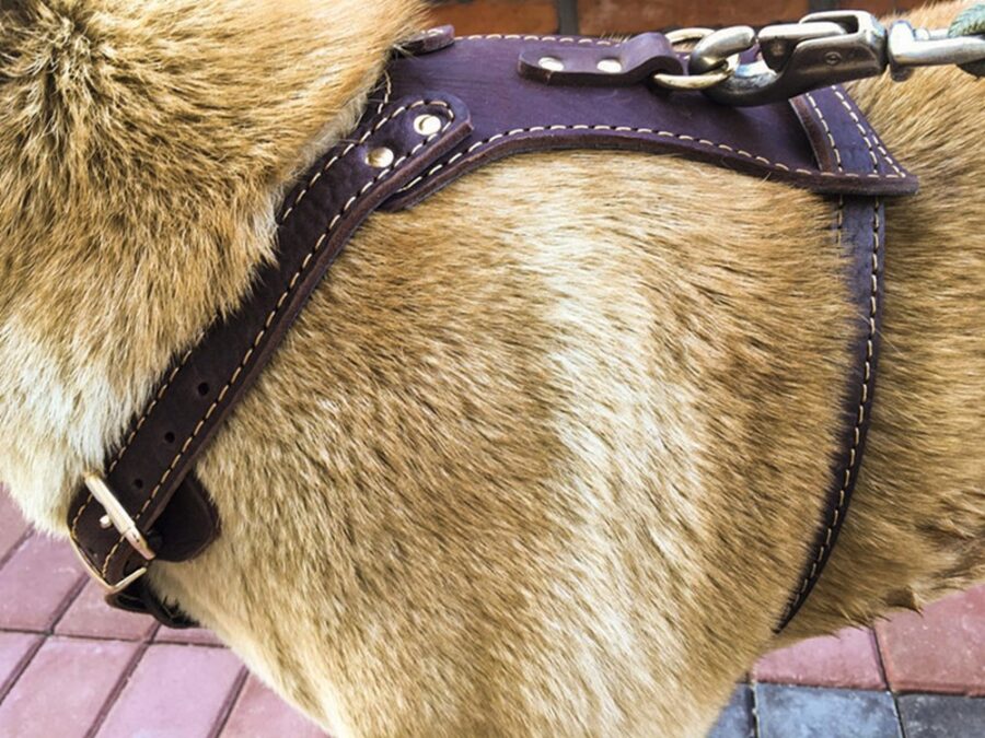 Leather Dog Vest Harness