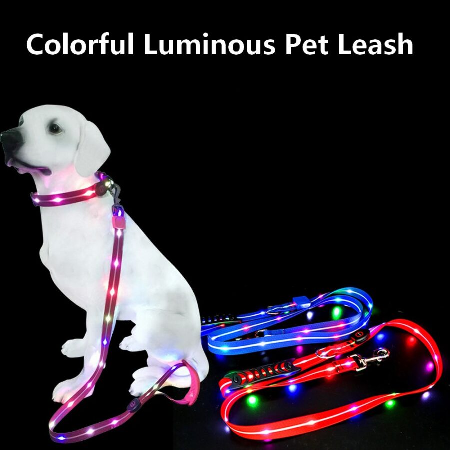 Light Up Dog Leash