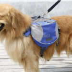 Pet Dog Saddle Bag