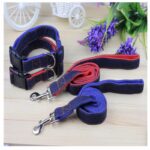 leash and collar sets
