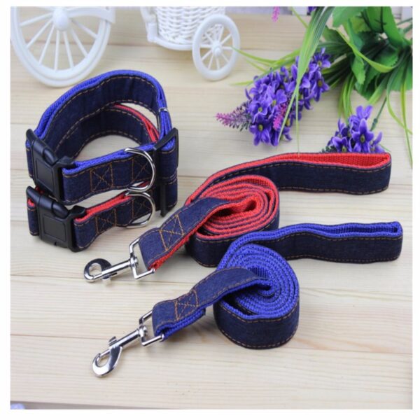 leash and collar sets