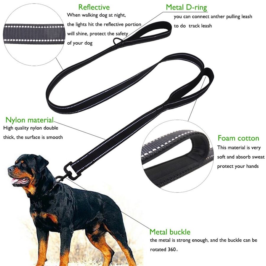 Pet Dog Leash