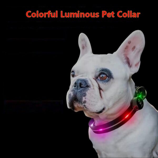 LED Light UP Dog Leash