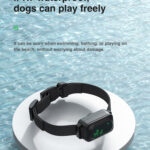 1640FT Pet Dog Training Collar
